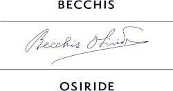 BECCHIS Logo Sm